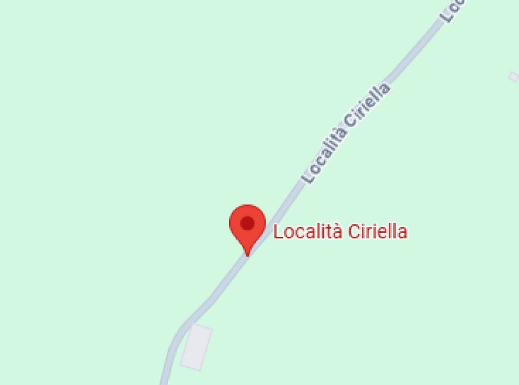 immagine annuncio 10 di 11