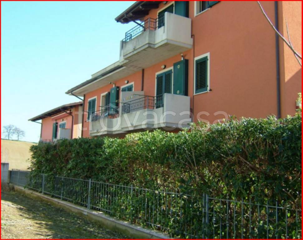 immagine annuncio 3 di 13