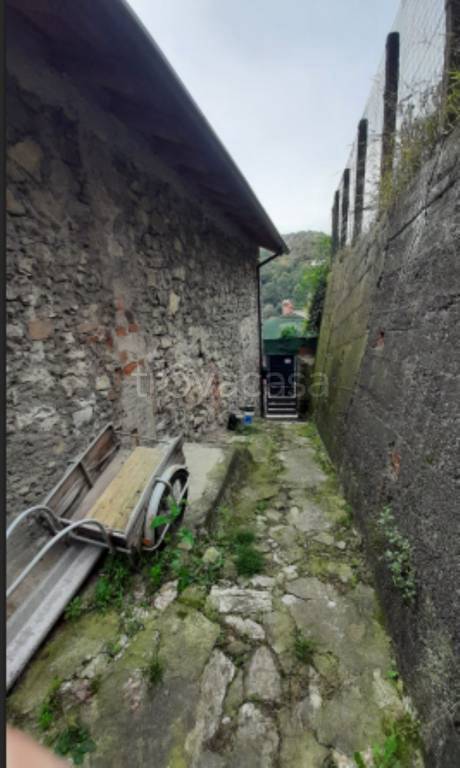 immagine annuncio 9 di 11
