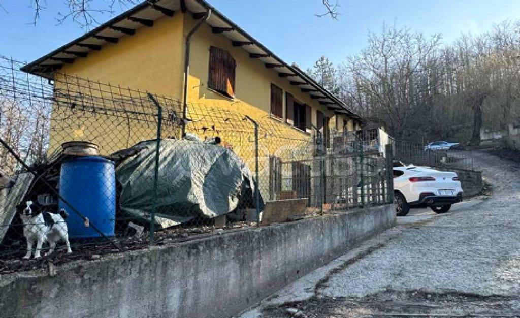immagine annuncio 9 di 11
