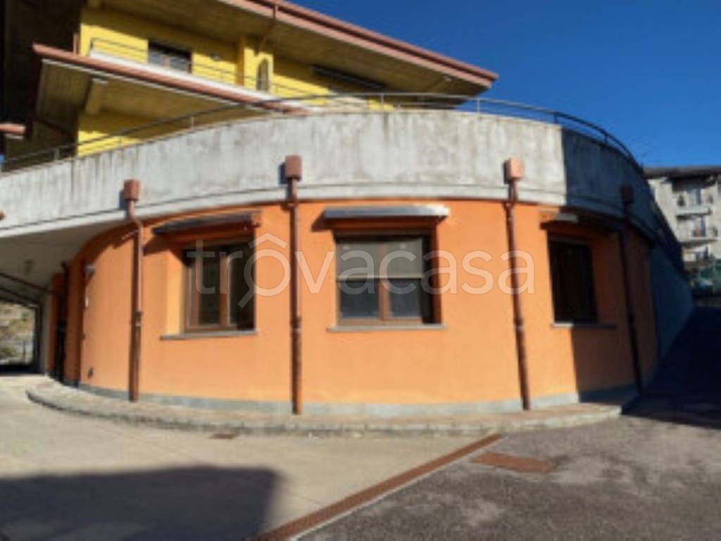 immagine annuncio 1 di 12
