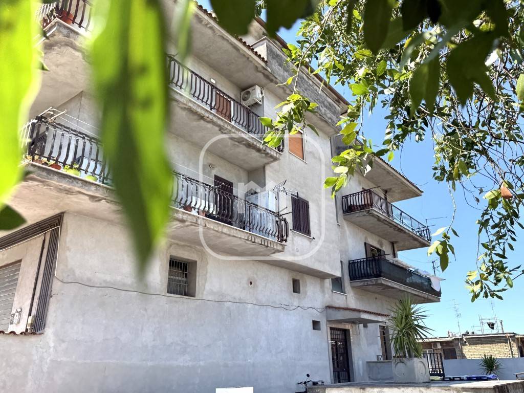 immagine annuncio 1 di 4