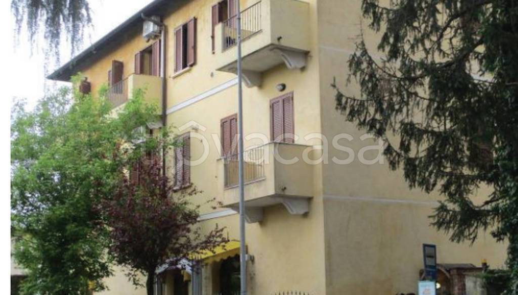 immagine annuncio 6 di 14