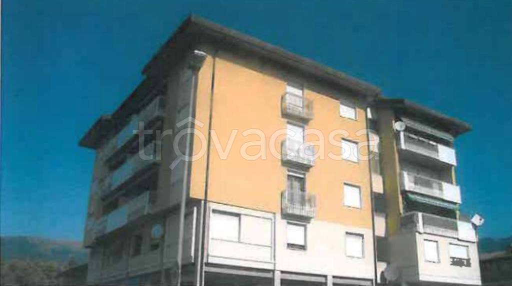immagine annuncio 9 di 11