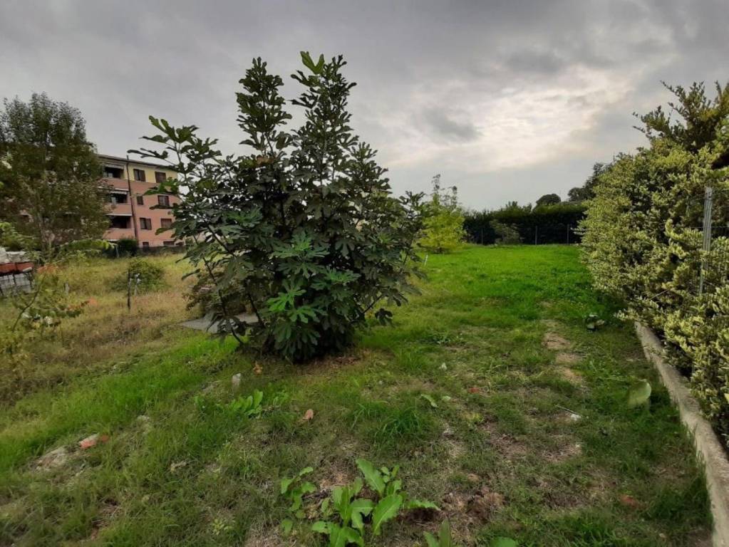immagine annuncio 1 di 14