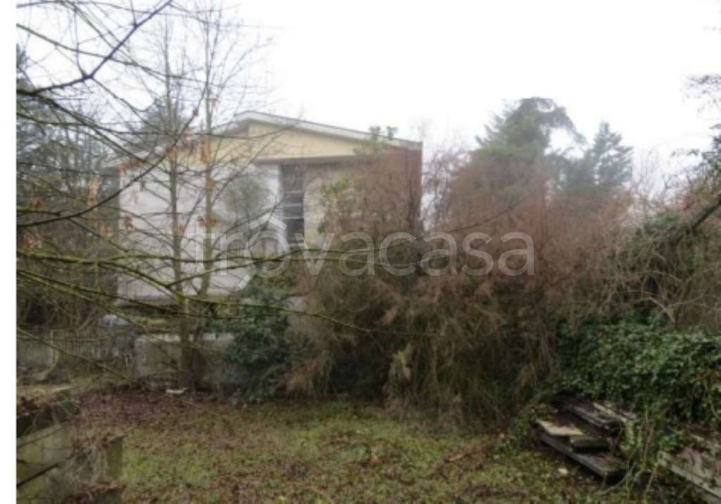 immagine annuncio 3 di 11