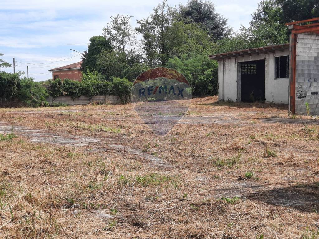 immagine annuncio 3 di 13