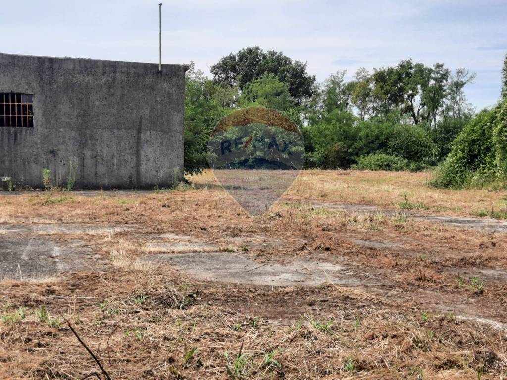 immagine annuncio 6 di 13