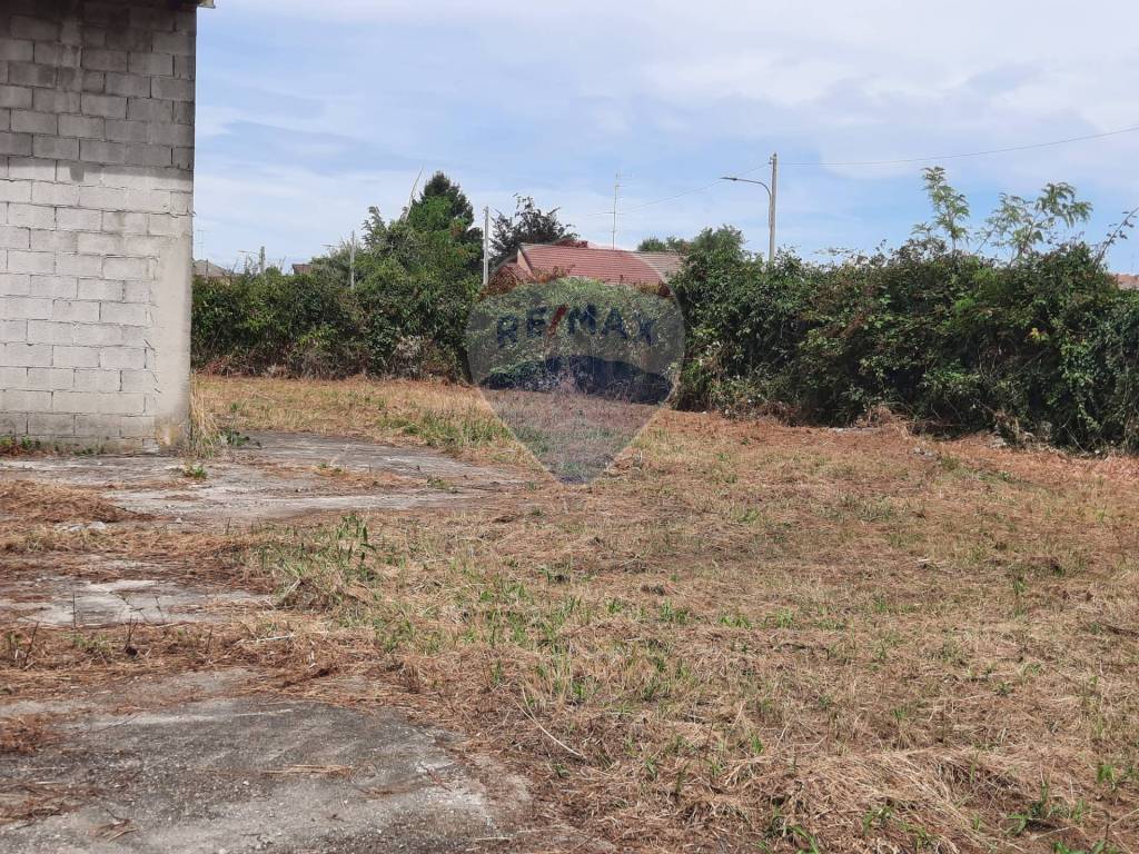 immagine annuncio 7 di 13