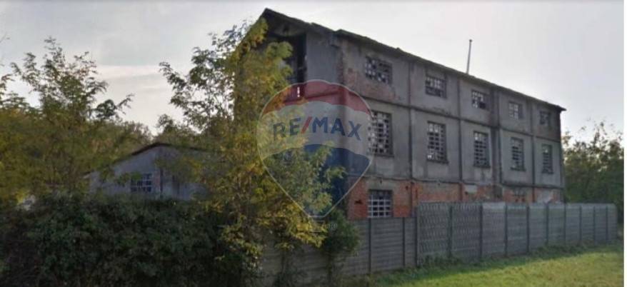 immagine annuncio 9 di 13