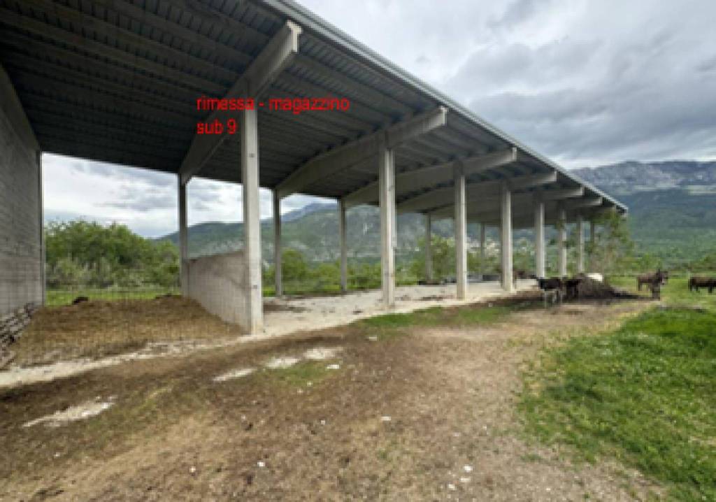 immagine annuncio 4 di 11