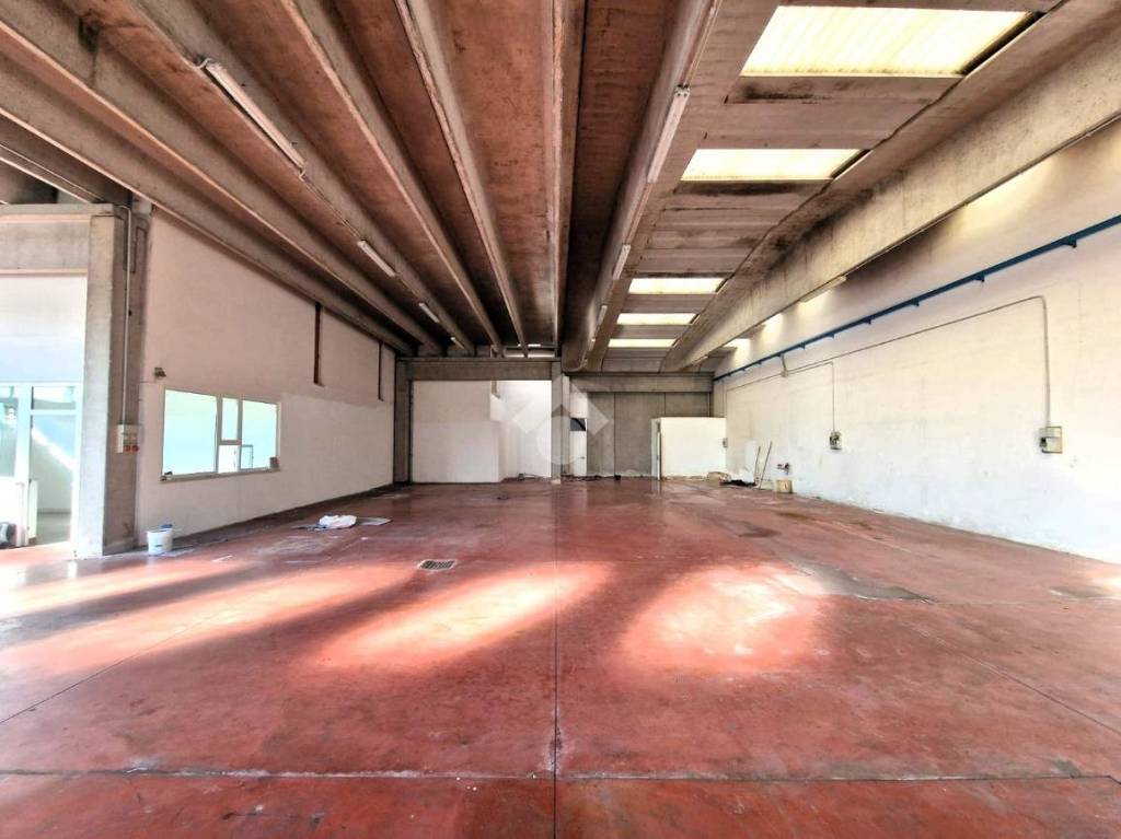 immagine annuncio 2 di 13