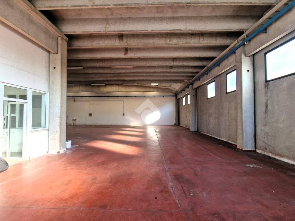 immagine annuncio 3 di 13