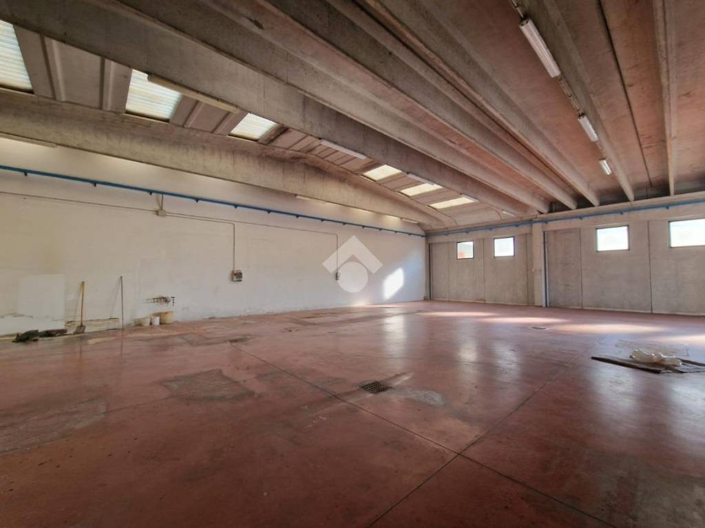 immagine annuncio 4 di 13