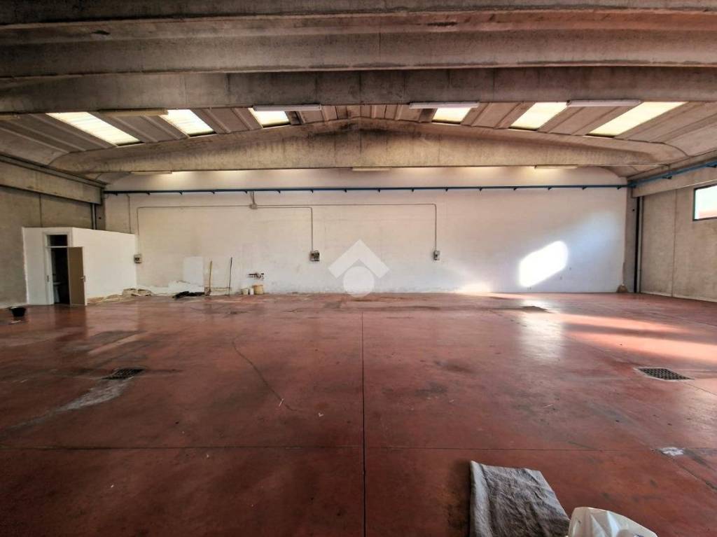 immagine annuncio 6 di 13