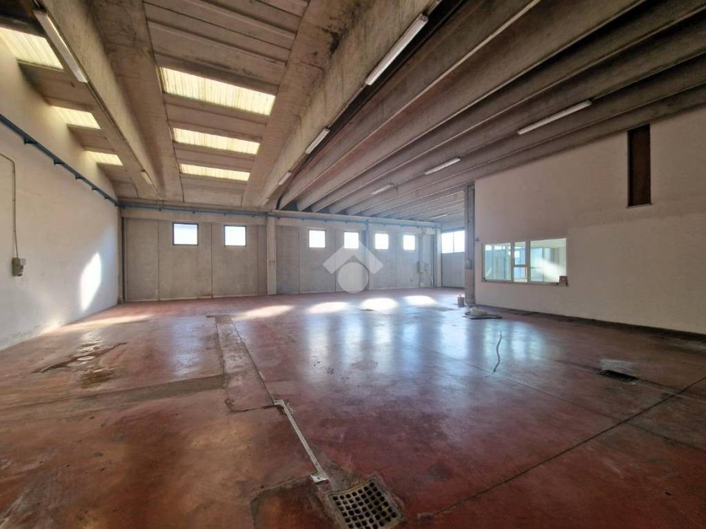 immagine annuncio 7 di 13