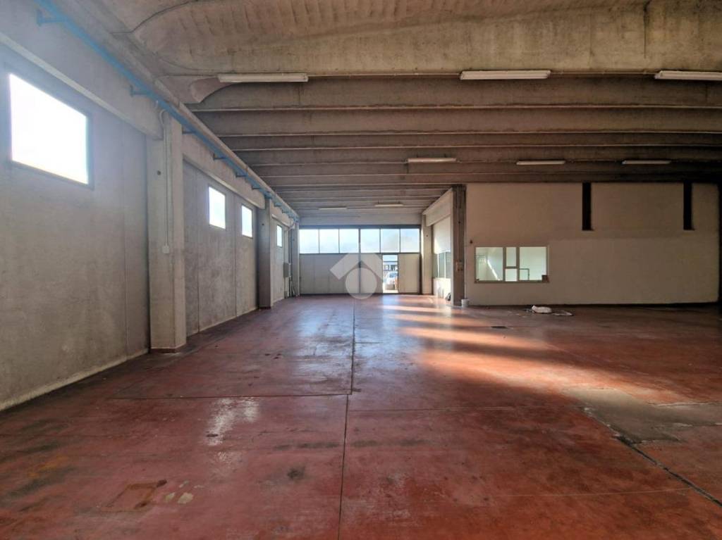 immagine annuncio 9 di 13