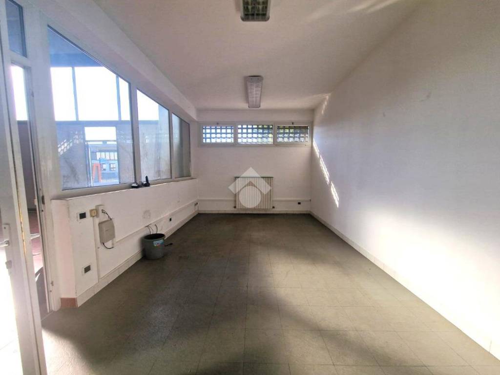 immagine annuncio 11 di 13