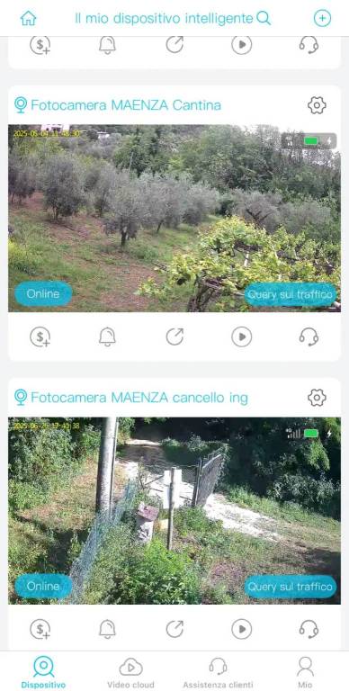 immagine annuncio 13 di 14
