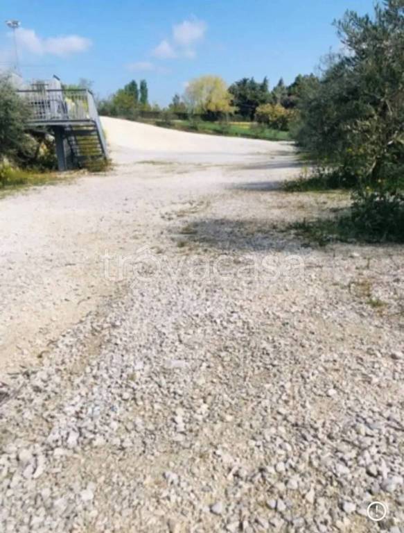 immagine annuncio 3 di 7