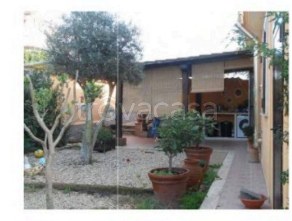 immagine annuncio 9 di 13