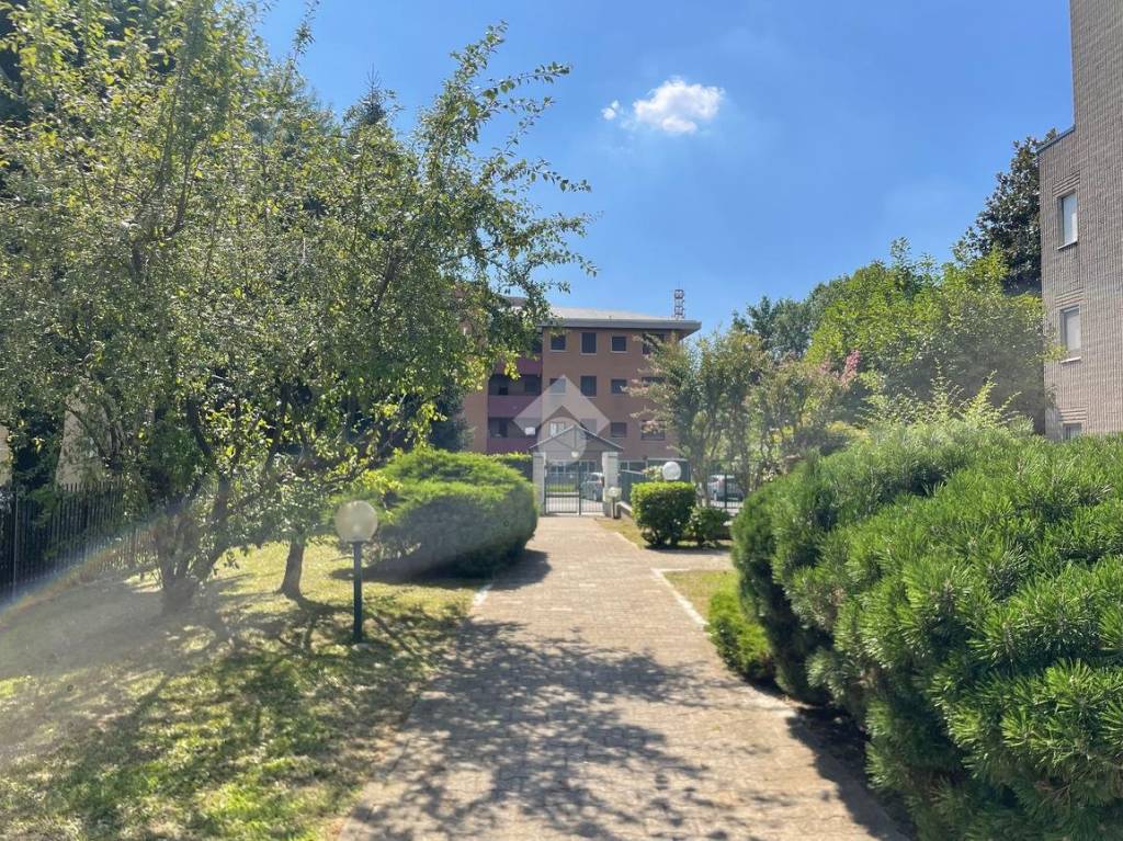 immagine annuncio 5 di 11