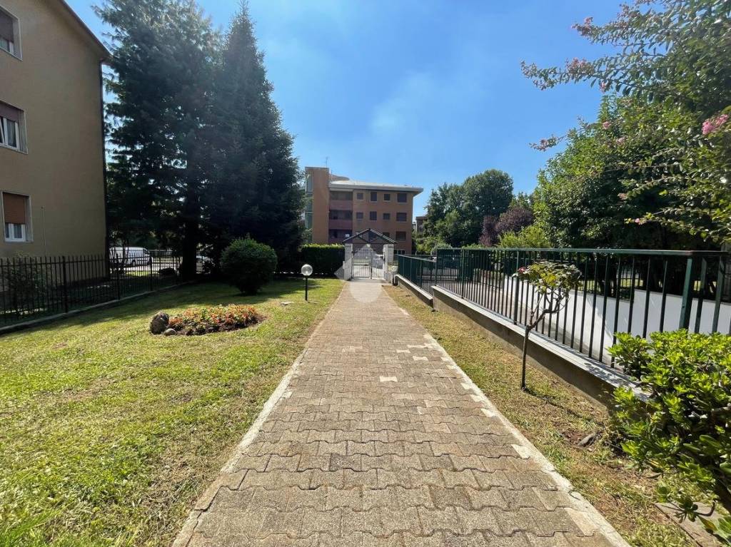 immagine annuncio 6 di 11