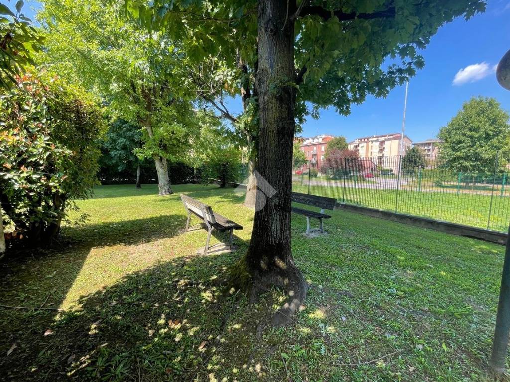 immagine annuncio 9 di 11