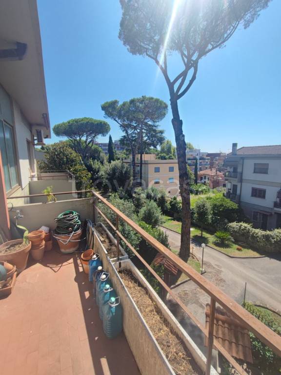immagine annuncio 2 di 12