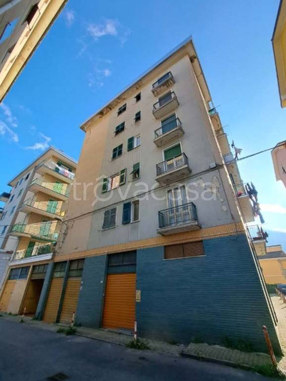 immagine annuncio 1 di 14