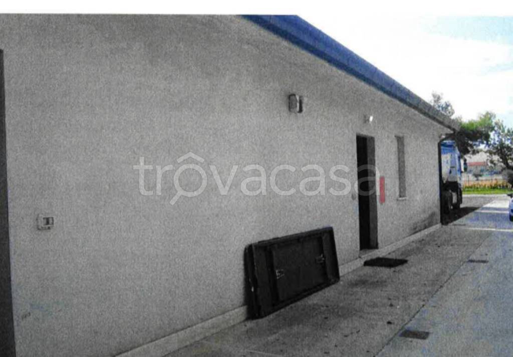 immagine annuncio 3 di 14