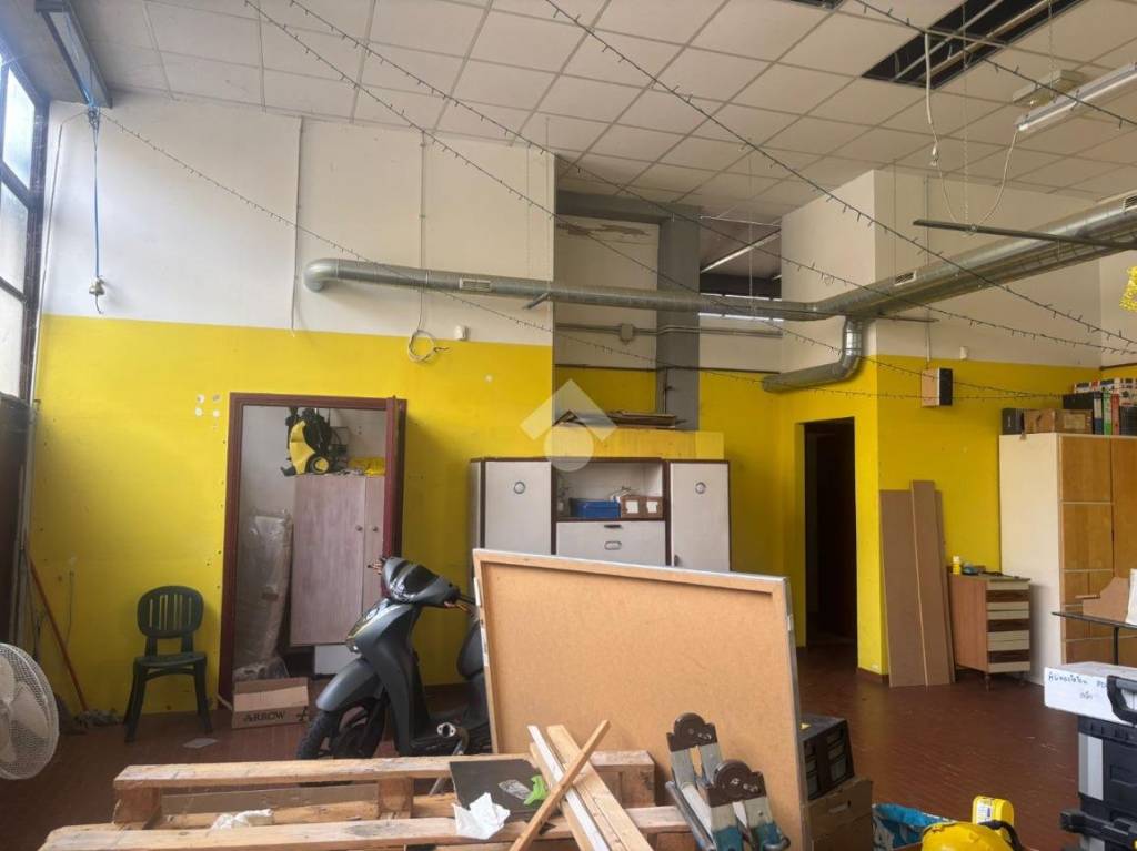 immagine annuncio 6 di 14