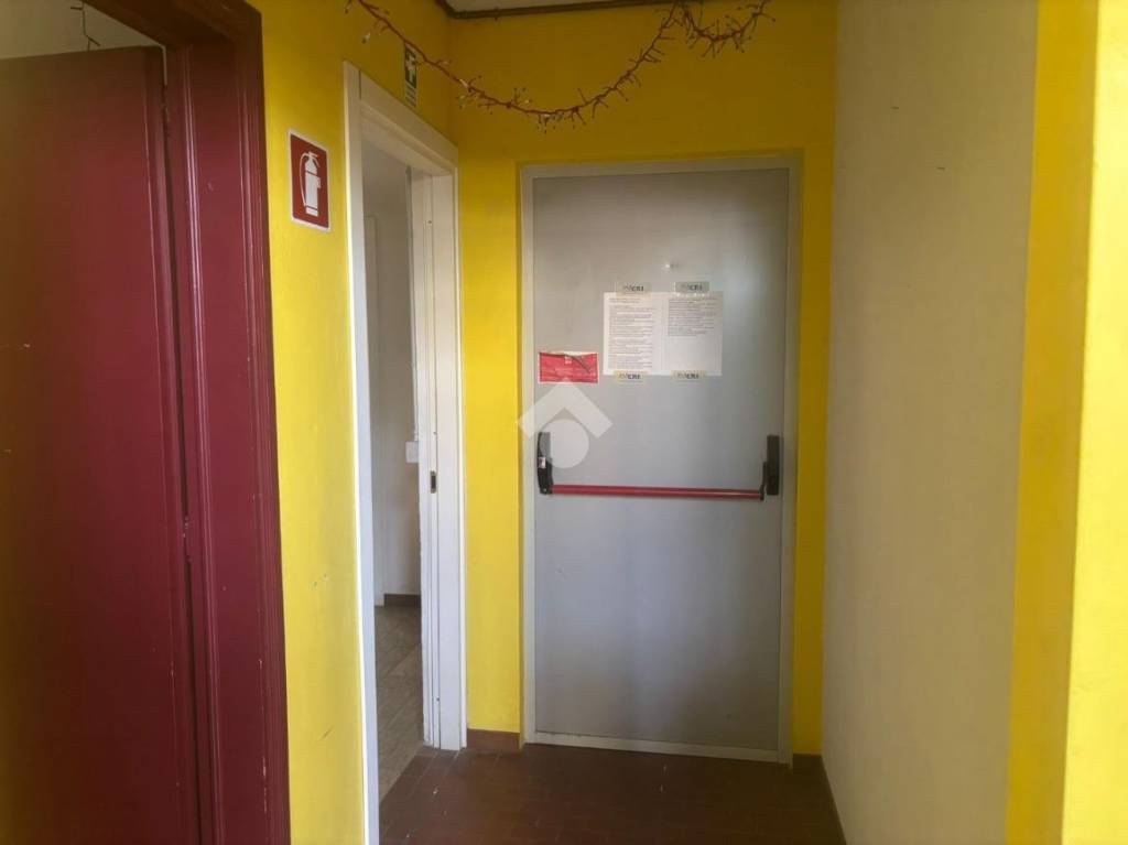 immagine annuncio 9 di 14