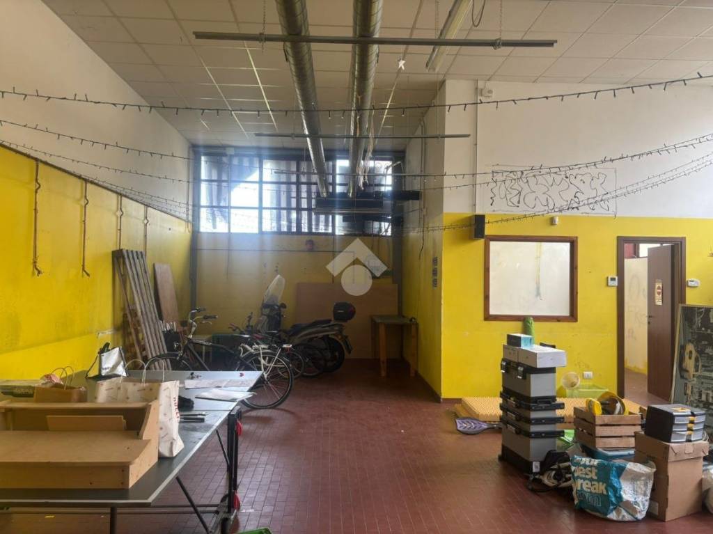 immagine annuncio 11 di 14