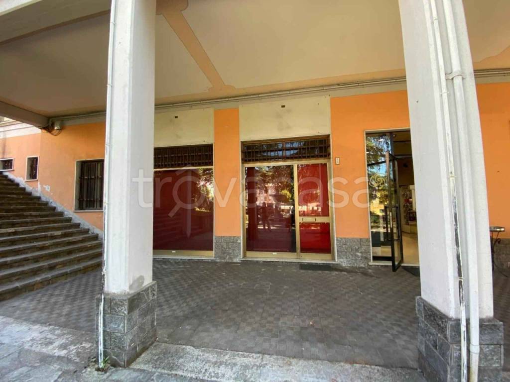 immagine annuncio 4 di 14