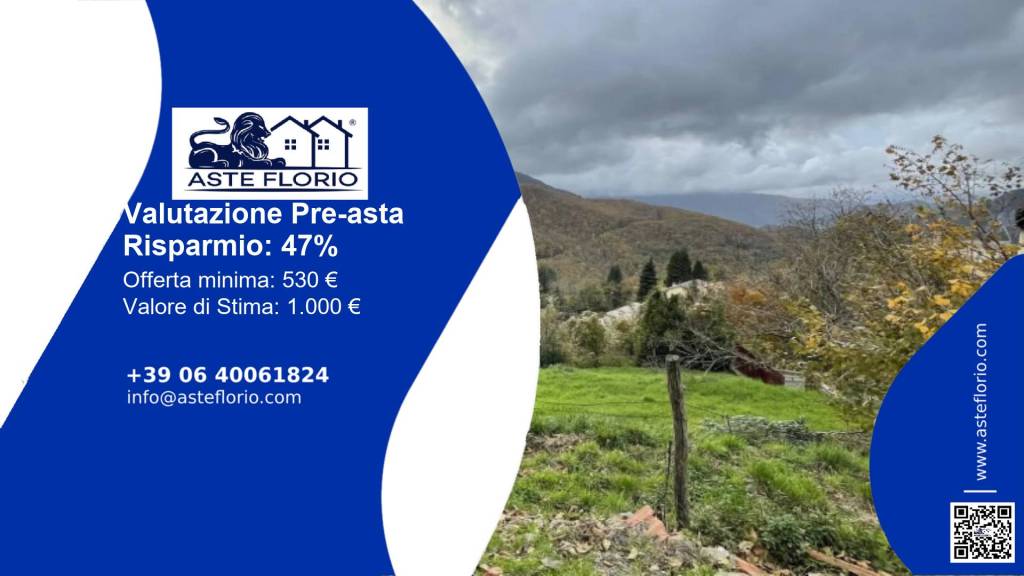 immagine annuncio 1 di 12