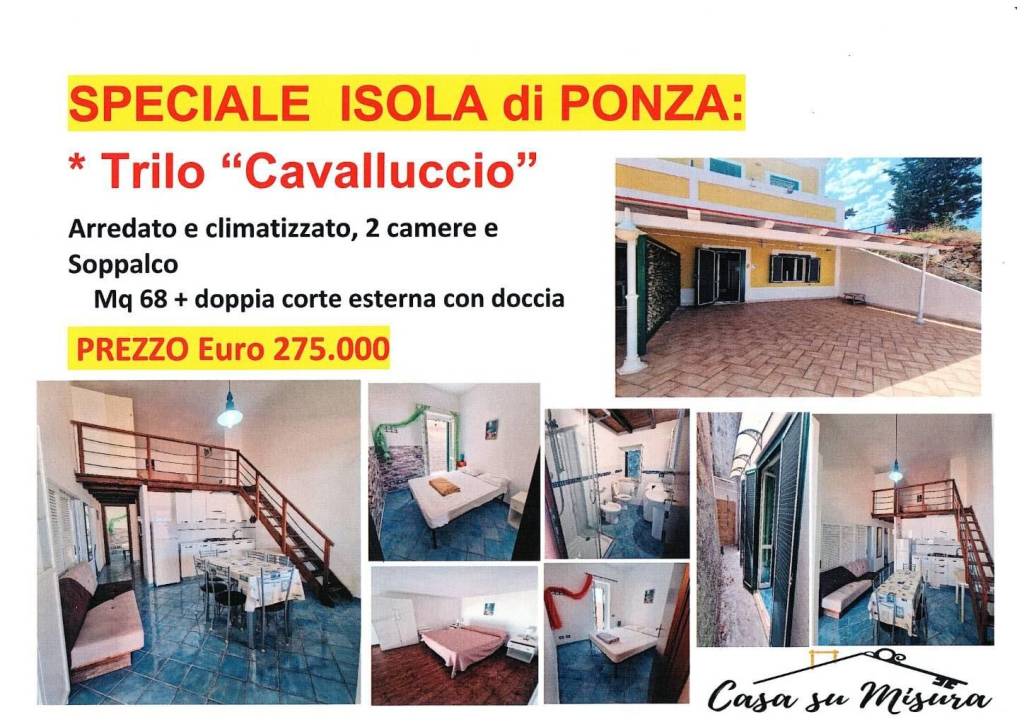 immagine annuncio 11 di 14