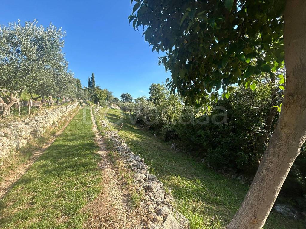 immagine annuncio 6 di 11