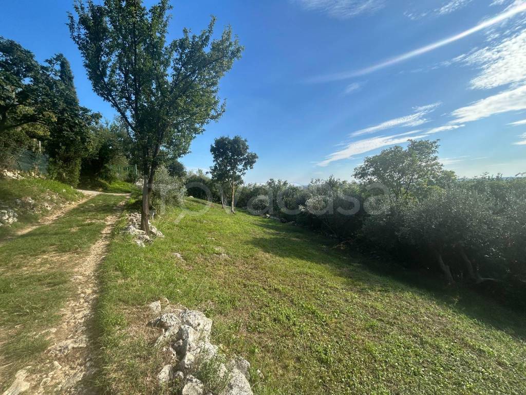 immagine annuncio 8 di 11