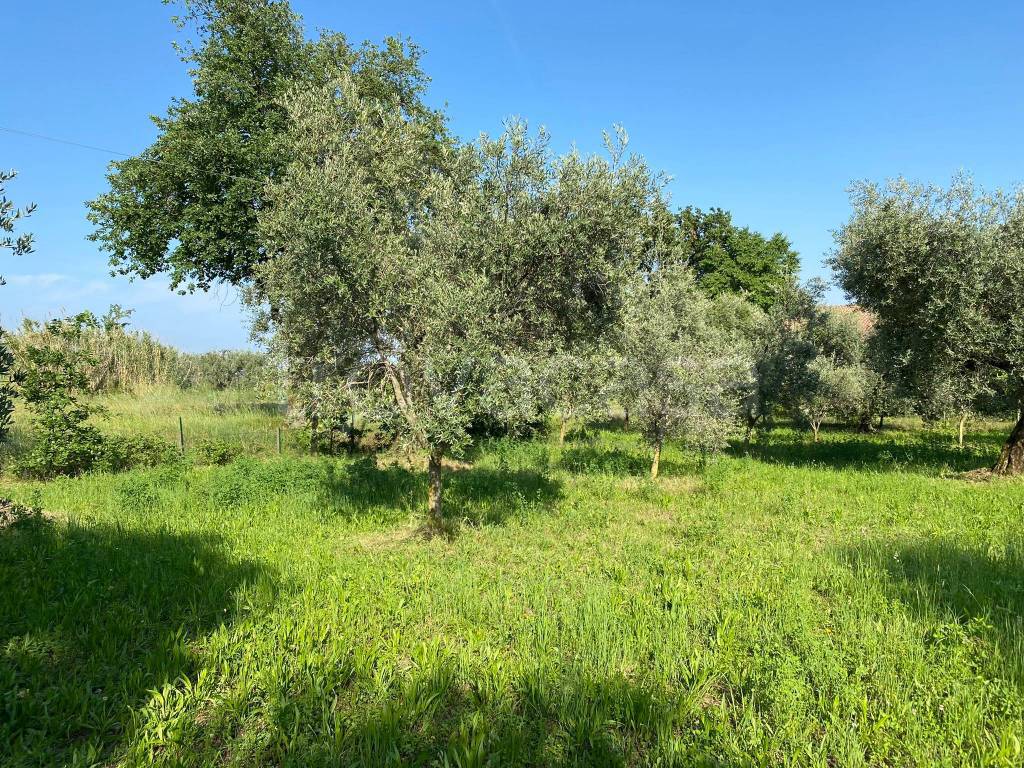 immagine annuncio 13 di 15