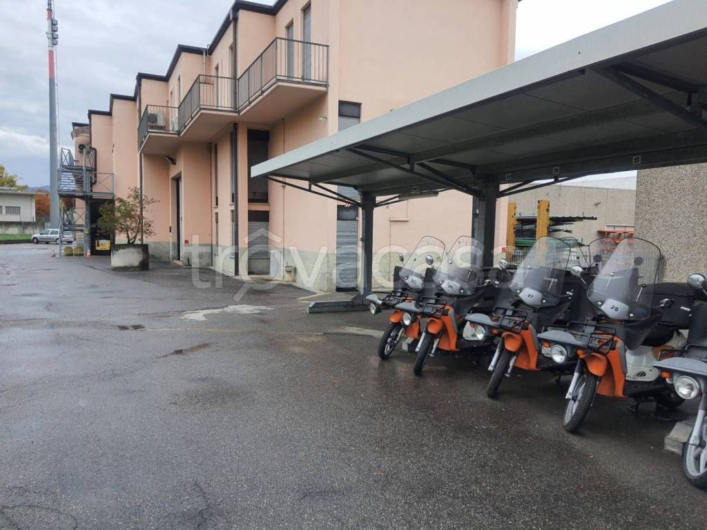 immagine annuncio 1 di 15
