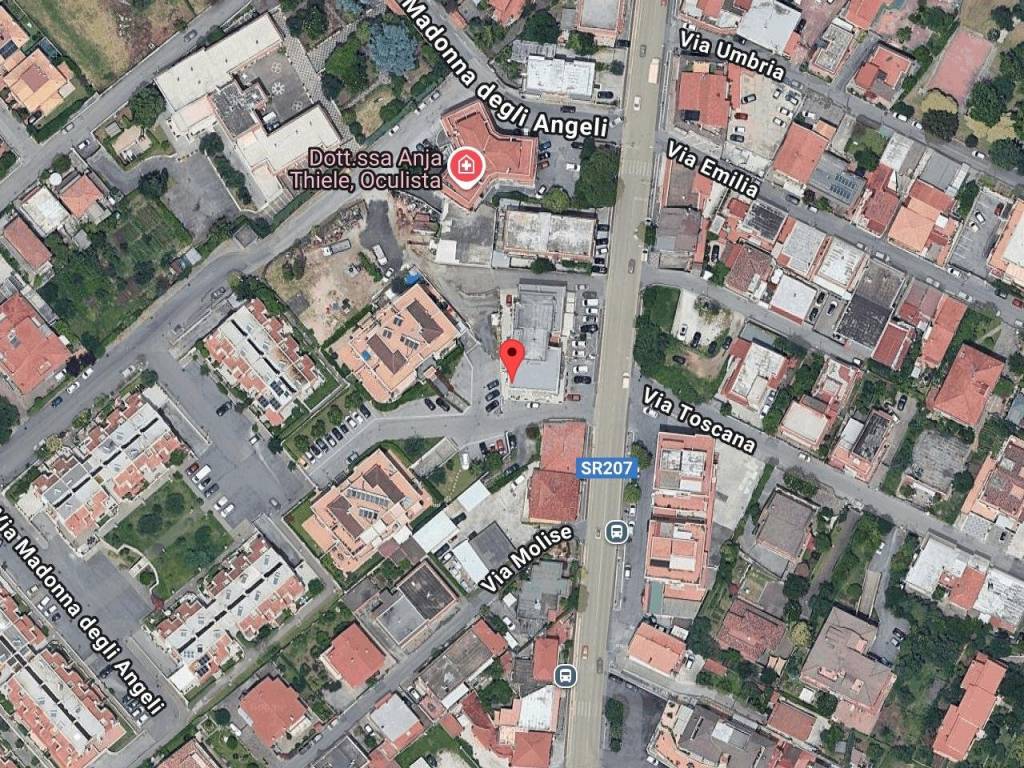 immagine annuncio 1 di 11