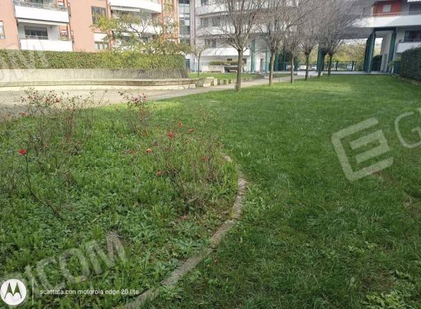 immagine annuncio 2 di 13