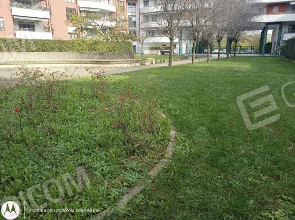 immagine annuncio 2 di 14