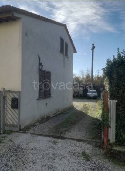 immagine annuncio 3 di 8