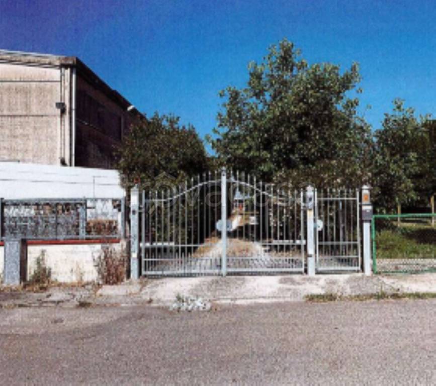 immagine annuncio 4 di 10