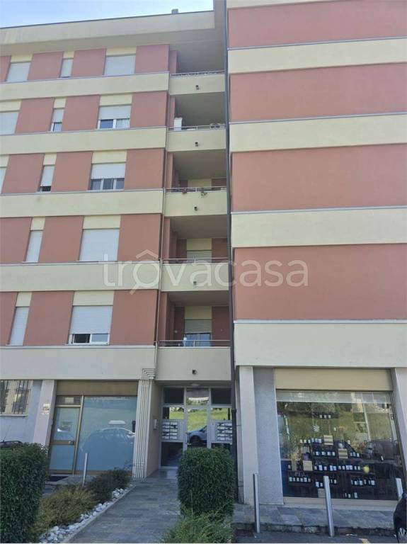 immagine annuncio 9 di 10