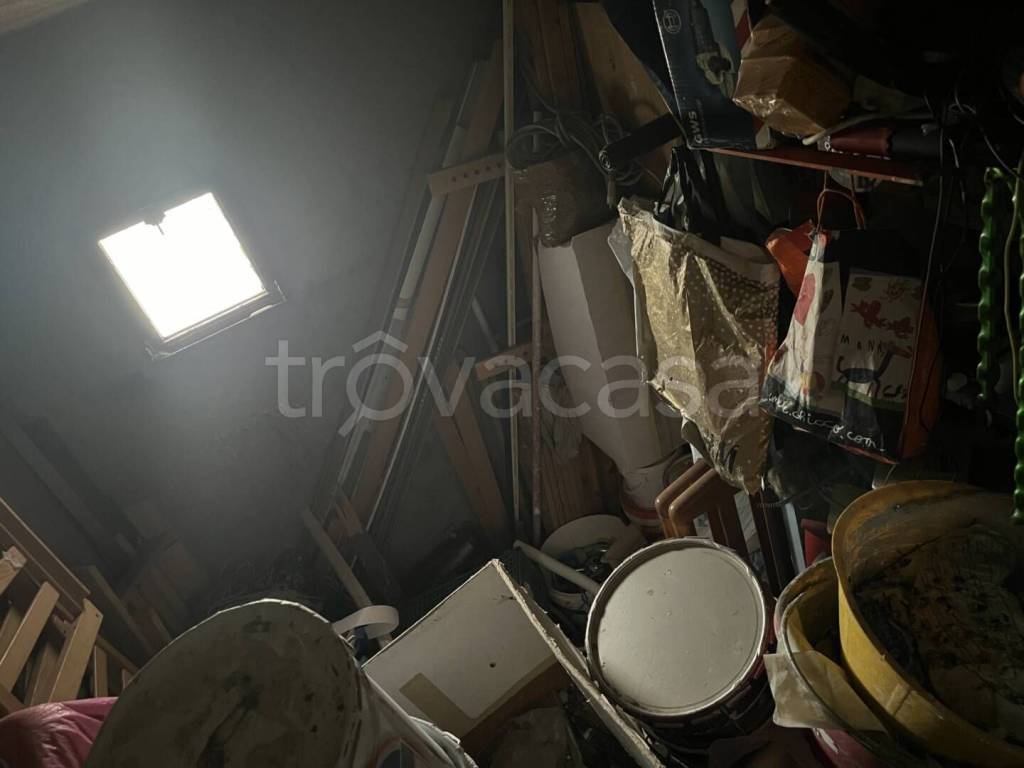 immagine annuncio 10 di 14