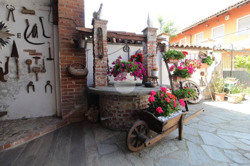 immagine annuncio 5 di 15