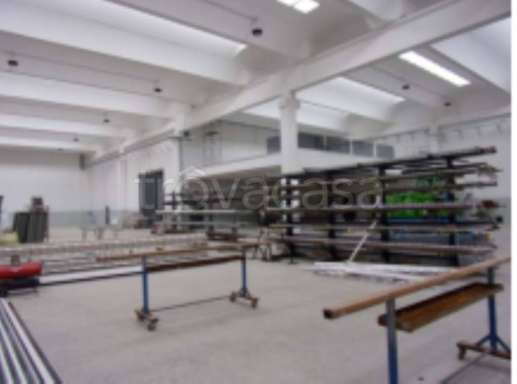 immagine annuncio 8 di 11